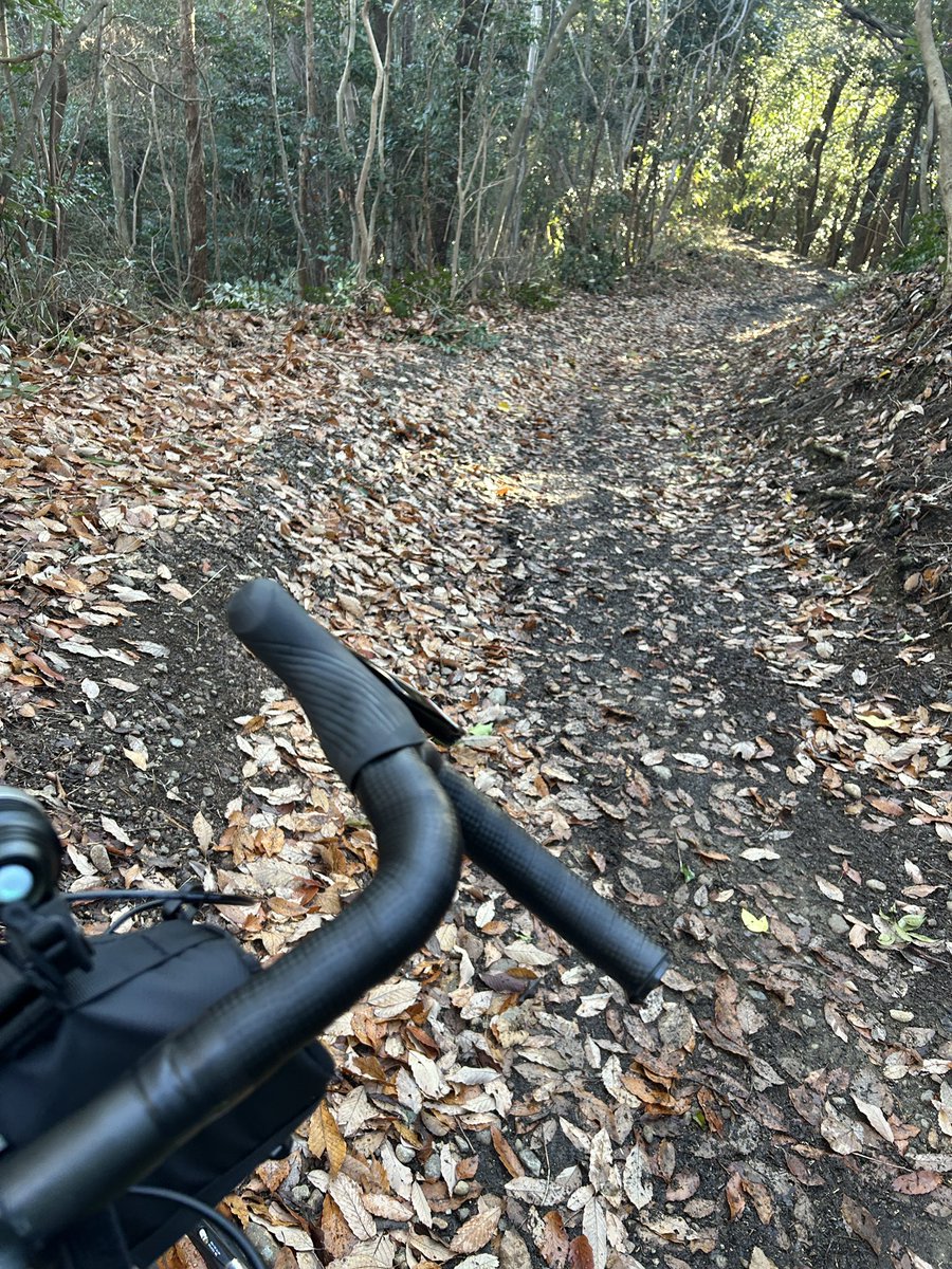 twobytwo_sp's tweet image. いつものご近所でポタリング🚴
今日は白川から徳川道へ
微妙に昨日の雨、雪の影響で
べちゃべちゃ😓
まあ、古タイヤもエア漏れしてたが
最後まで走れたんで良しでしす。☺️