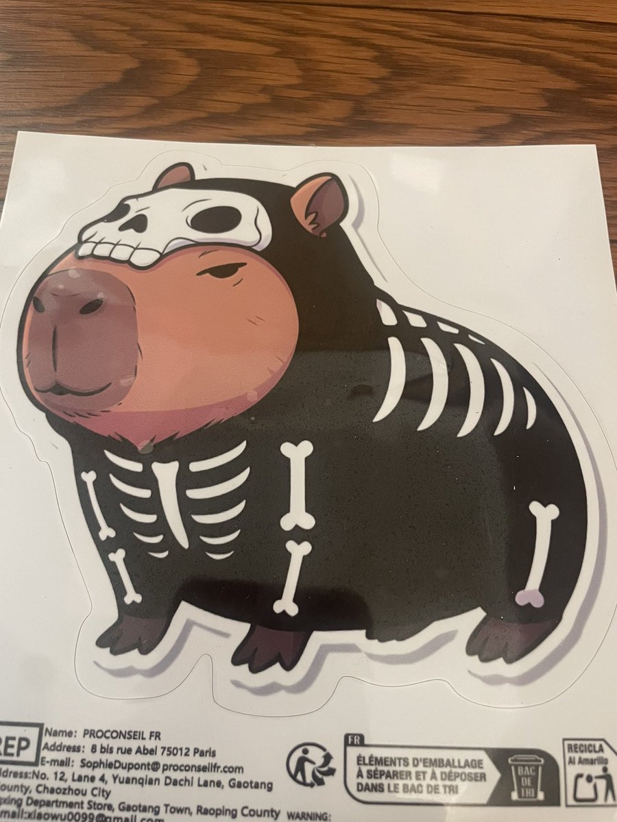 カピバラかぴばら (@capybara5179) / Posts / X