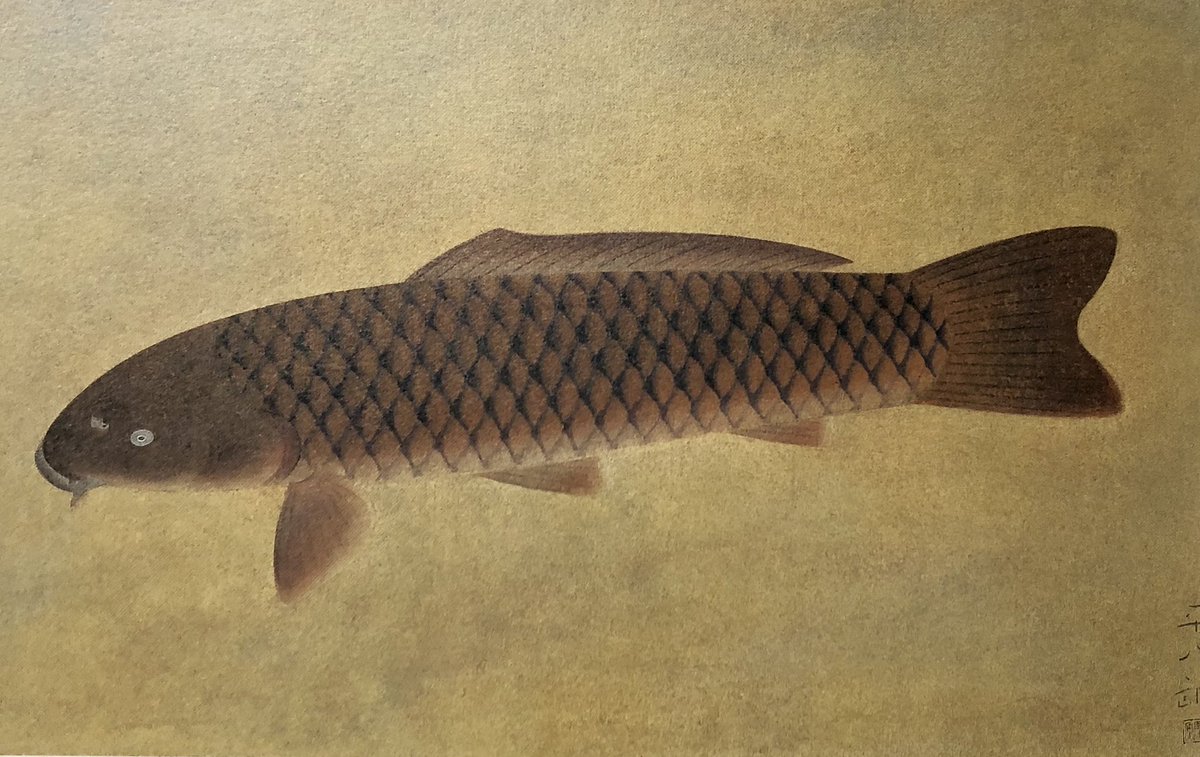 福田平八郎 遊鯉 1954