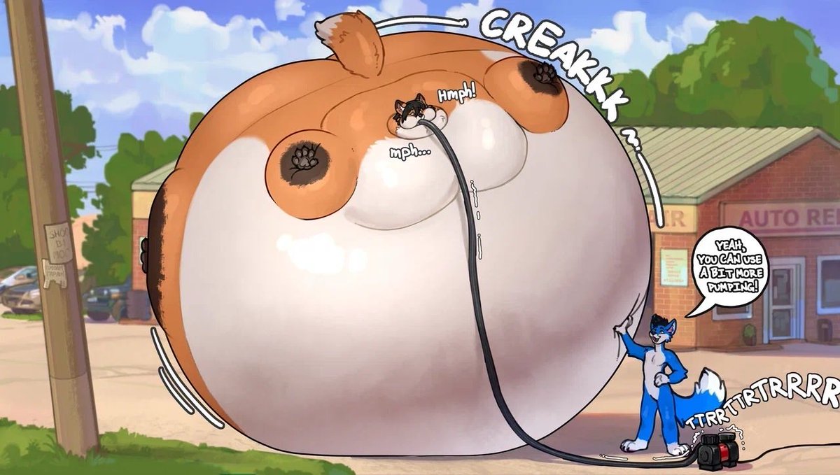 RoundFoxo's tweet image. Inflating @BalloonFoxo until he pops into a million scraps. Just the way he like it|

Art by Shoobimoo on FA.