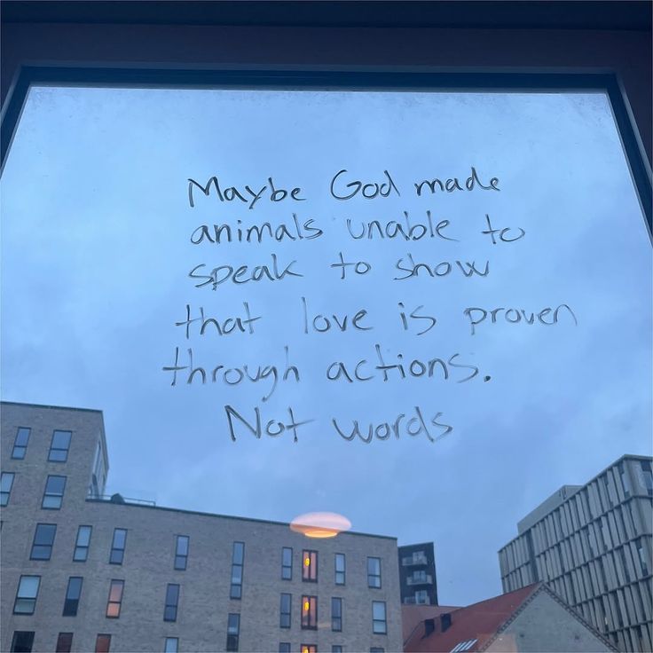 Synexdoche (@amor_fatti) on Twitter photo 