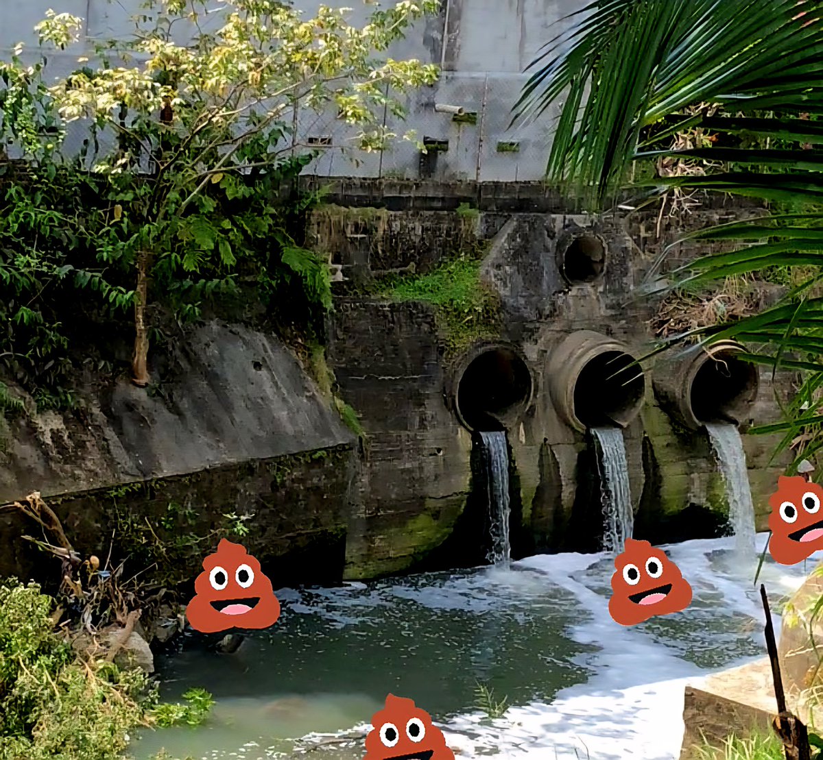 Halcon_pty_2016 tweet media