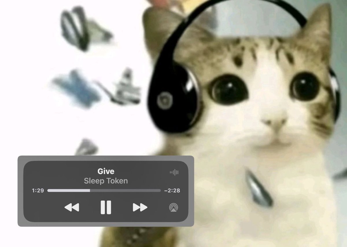 ˗ˏˋanna⁷ˎˊ˗ 🪽- toby rogers #1 fangrl/SEEING BTS! tweet media