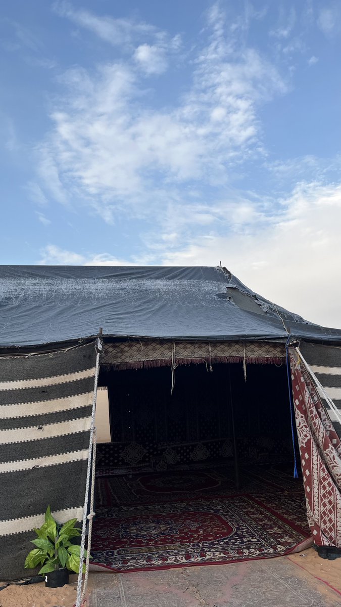 llfof's tweet image. ⛺️🪵🌷❣️