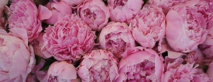 Nathaniel Campbell tweet media