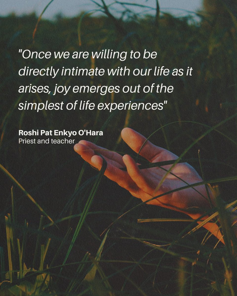 ToddWage's tweet photo. Live your life to the fullest!

And remember to enjoy every little thing you can. 

#quotes #happinessbegins #happinesscomesfromwithin #happiness❤️ #happinessiskey #quotestagram https://t.co/YVcvaZswtY