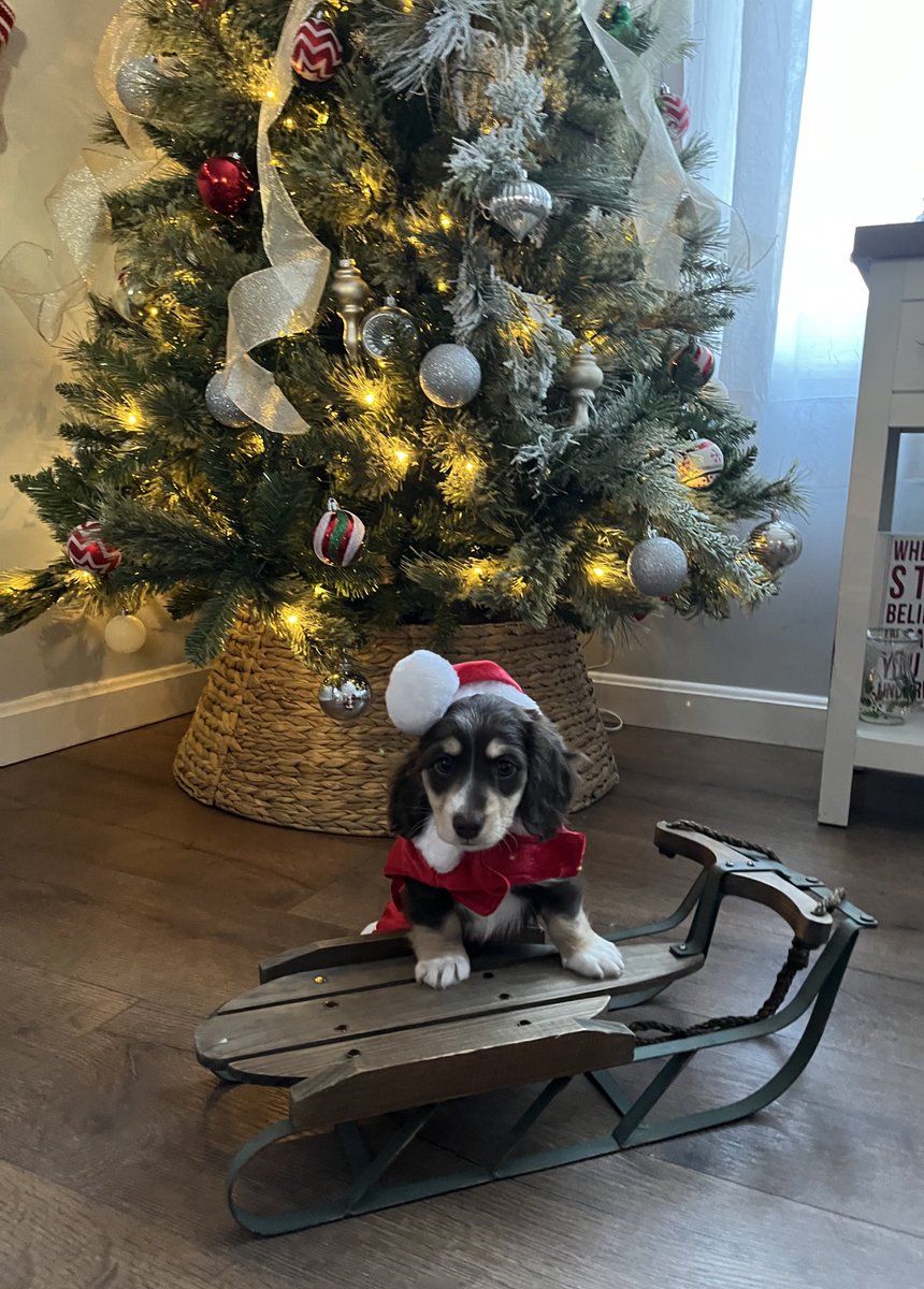 BMBobby420 tweet media