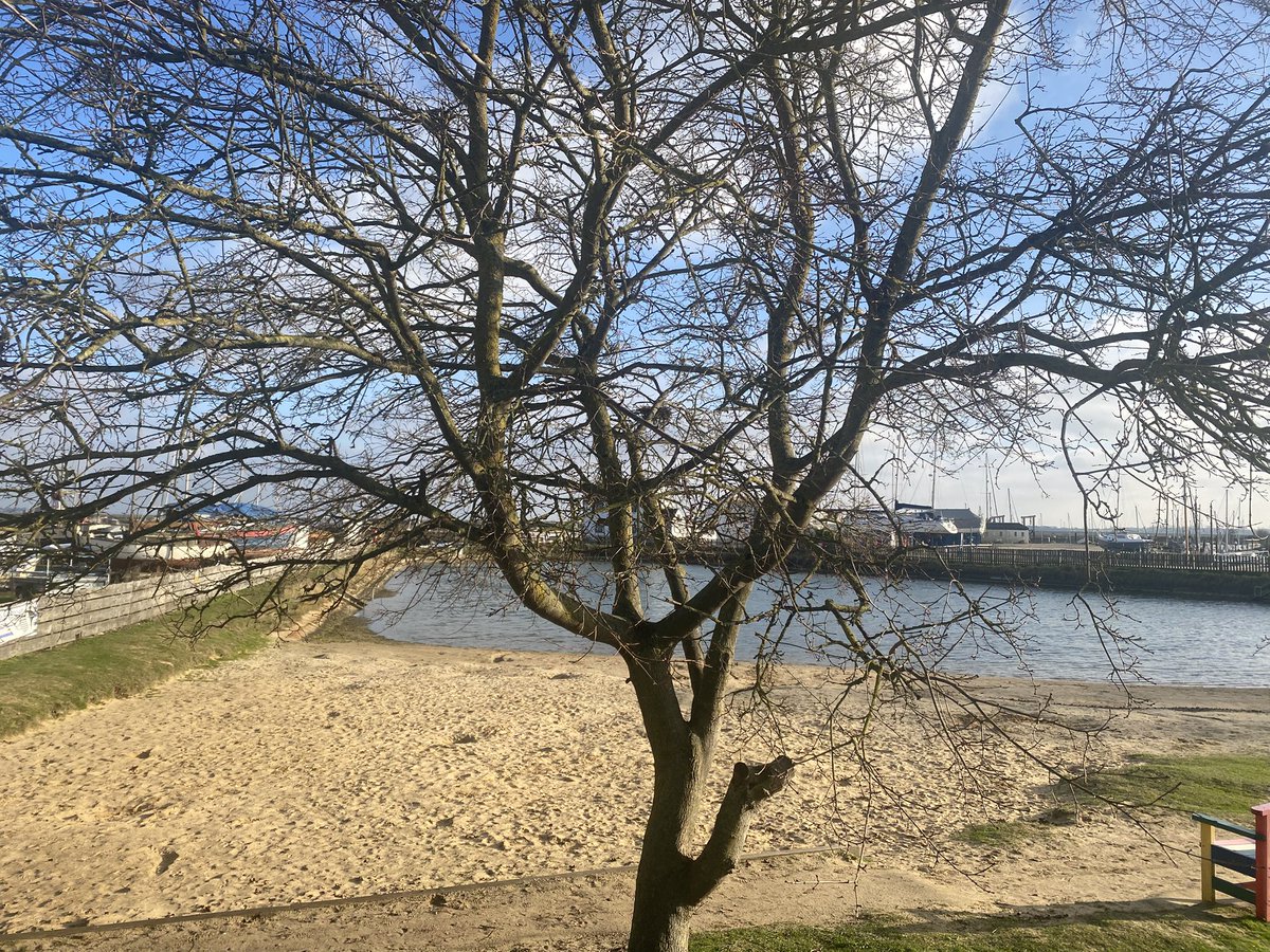 droof.eth (@tropicaldroof) on Twitter photo 