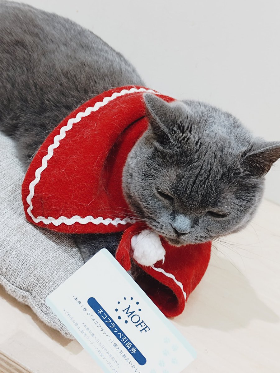 YU_nago (@YU_nago_0705) / Posts / X