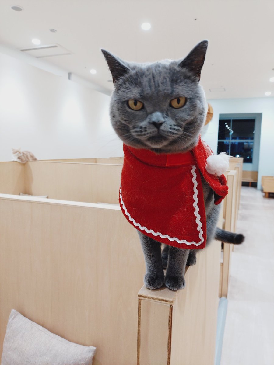 YU_nago (@YU_nago_0705) / Posts / X