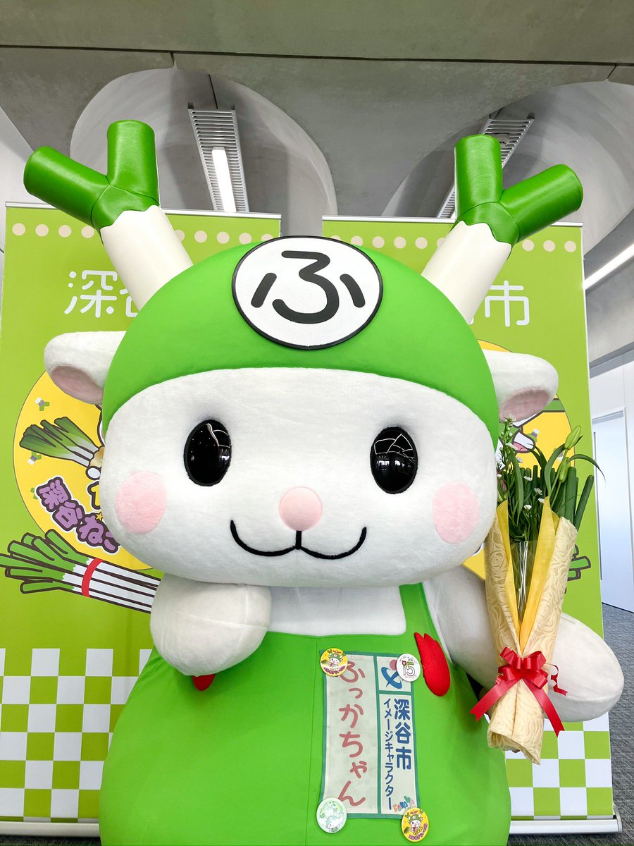 C2　ふっかちゃんシリコーン型　深谷市のアイドル C2ふっかちゃんシリコーン型深谷市のアイドル