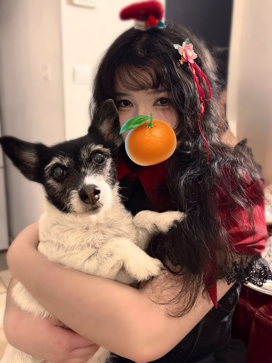 Happy holidays  ワンワン🐶