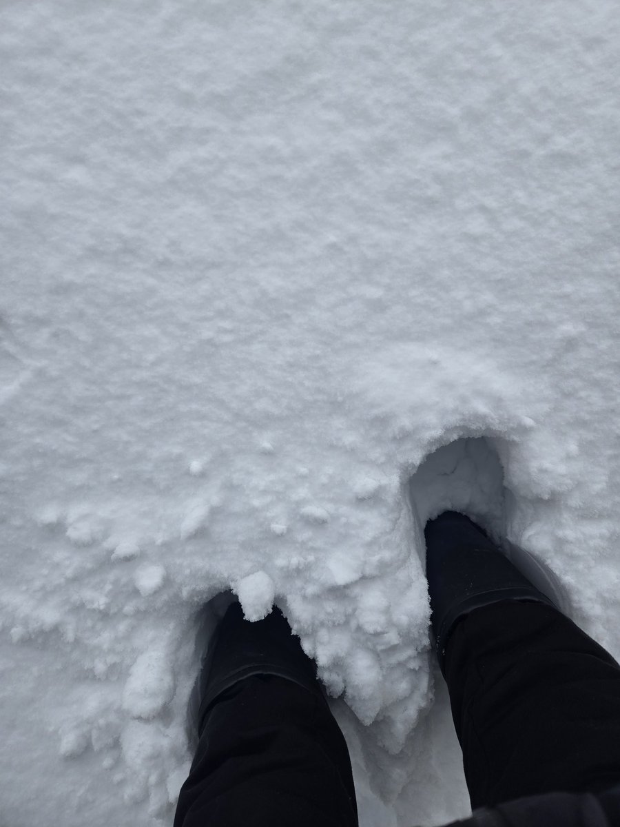 RiuNao's tweet photo. これからこのアホな量の雪を撤去してきます。
地獄…… https://t.co/MLbf9Ze6bb
