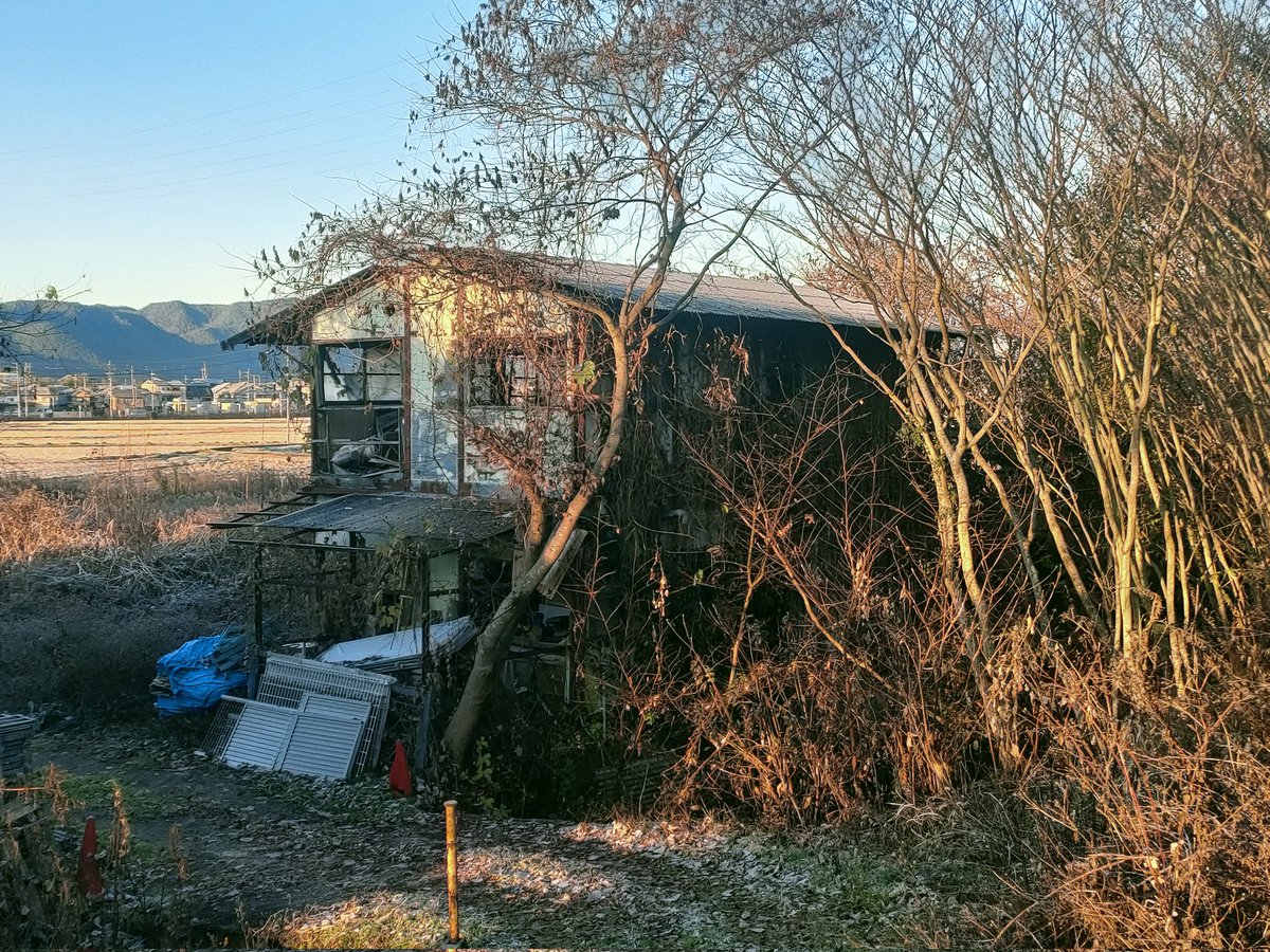 winterpainter2's tweet image. 