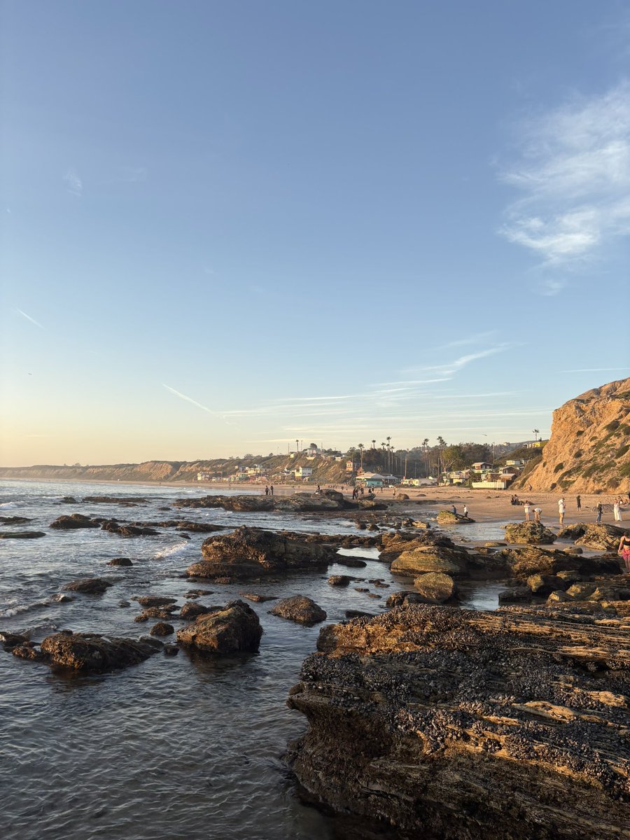 rattlepupp 🔜 ? tweet media