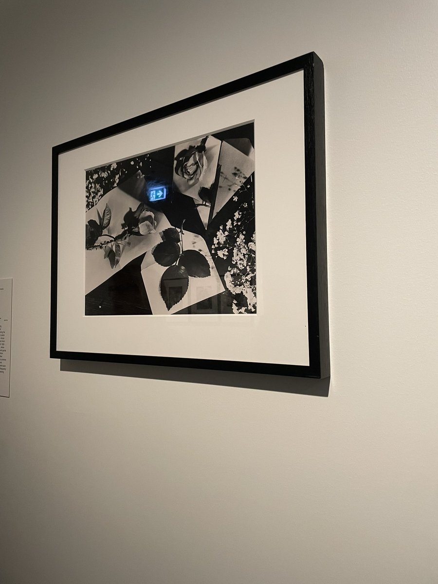siskyyyy's tweet photo. women photographers 1900-1975 https://t.co/ZC68uaOzyj