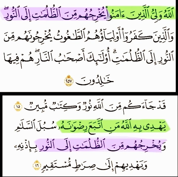 فَذَكِّر بِالقُرآنِ مَن يَخافُ وَعيدِ tweet media