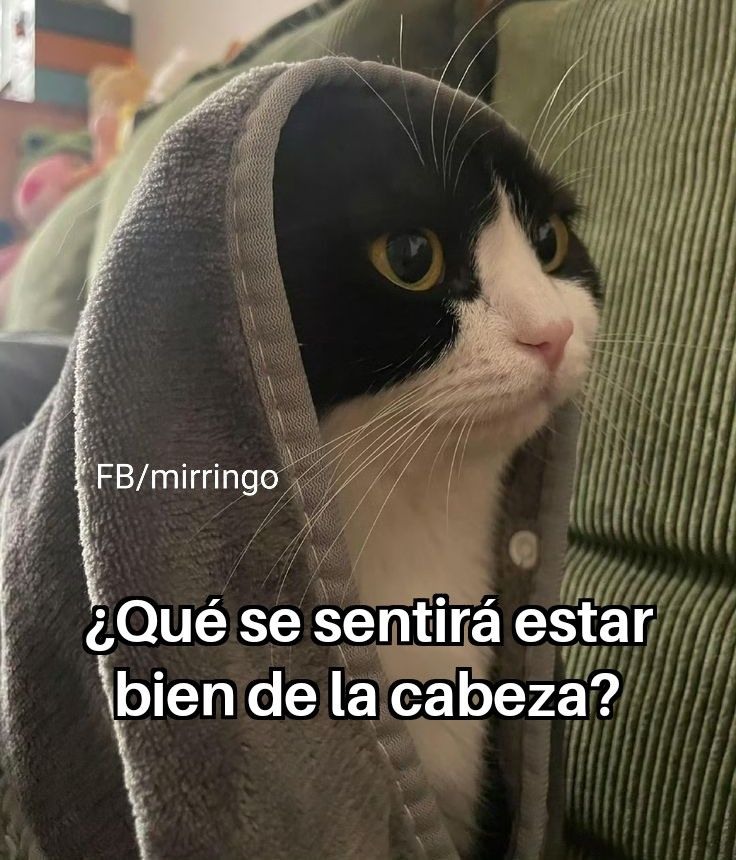BANDIDOS (@bandidosfrasess) on Twitter photo 