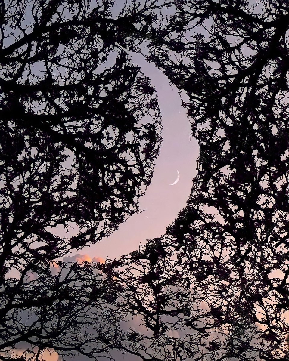 moonloverxjpg's tweet image. Moon lover