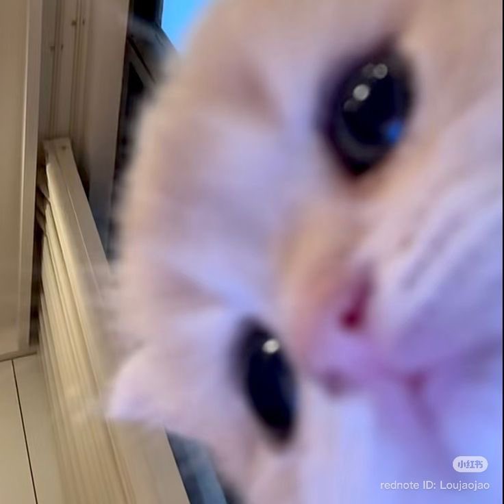 ♥️ (@hw96ers) on Twitter photo 