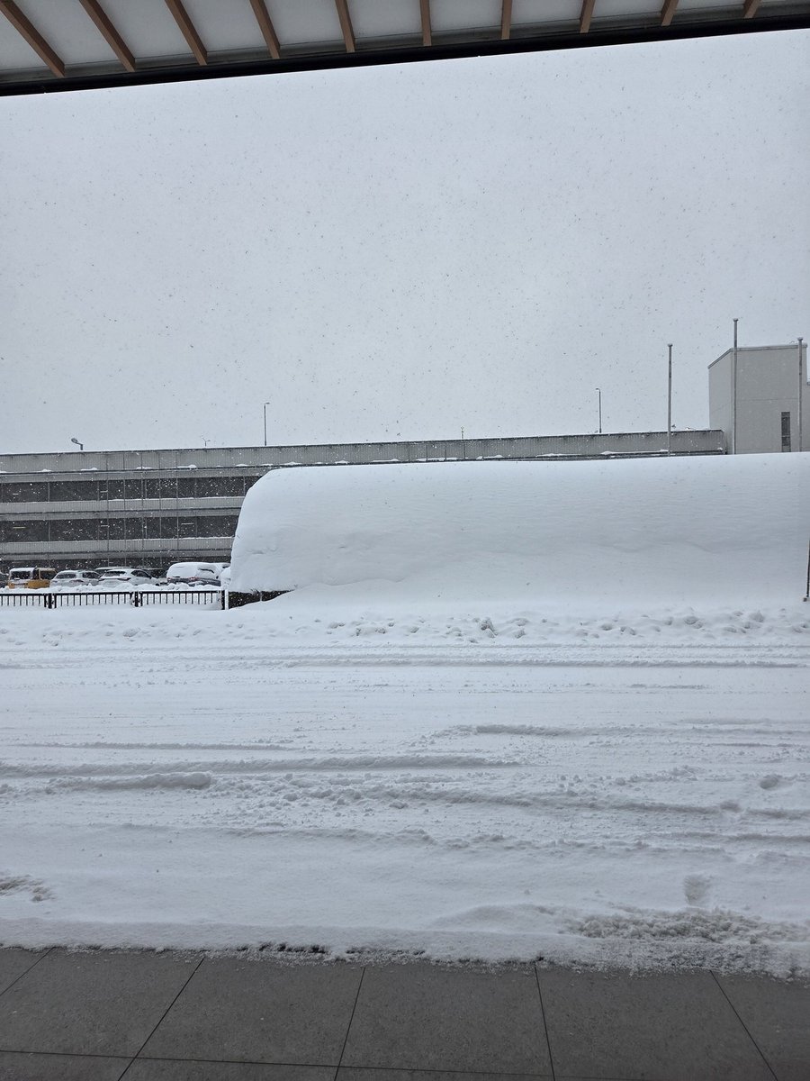 明日の演奏会のため青森入りしました✨
パラパラ雪がすごくて辺り真っ白です