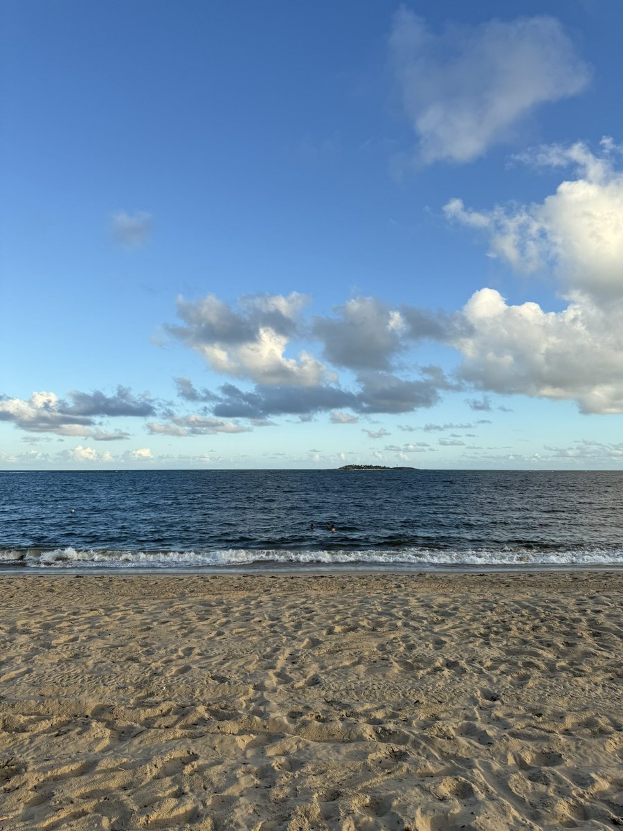 RodrygoGoes's tweet image. 🙌🏾🔋🇧🇷☀️