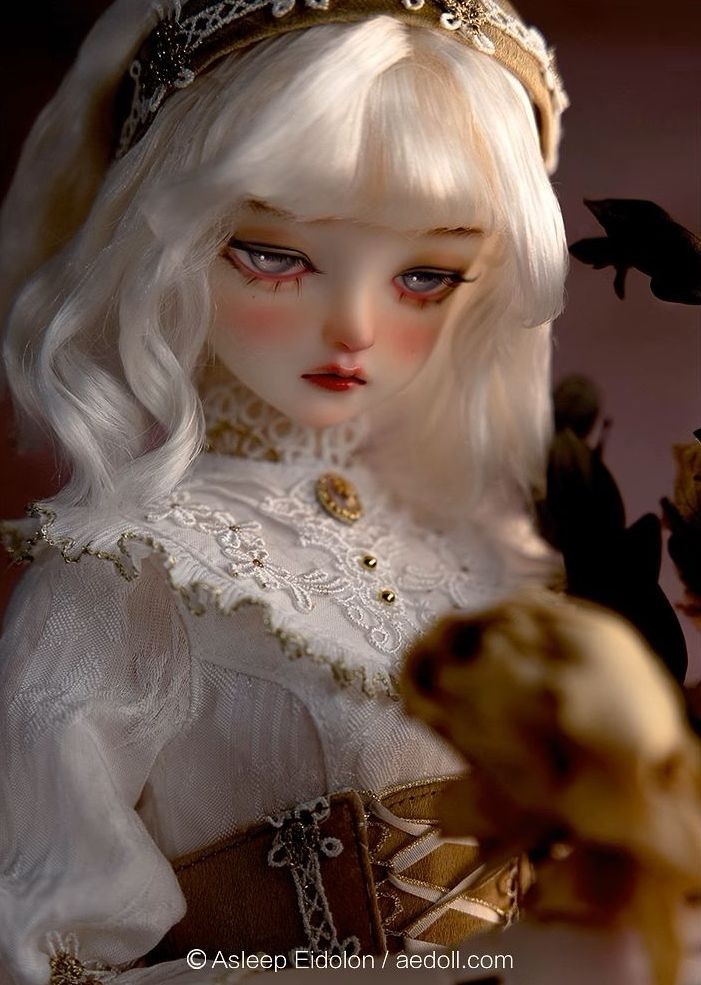 その他 Asleep Eidolon Cordelia Cordelia｜DOLK（ドルク）