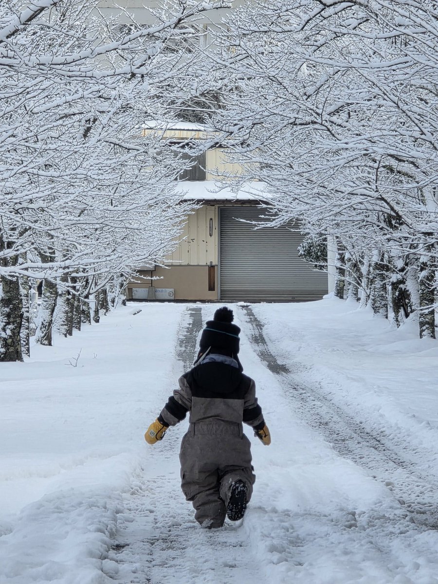 runjun235's tweet image. おはようございます🙂