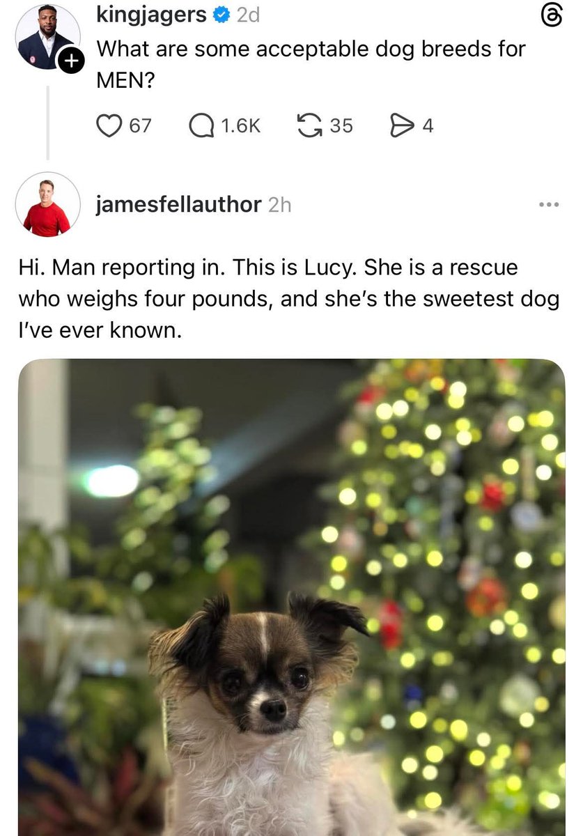 Mary tweet media