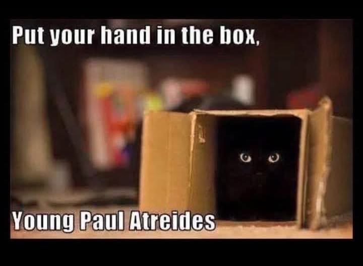 sudox.bsky - sudox.defcon.social (@kmcnam1) on Twitter photo 