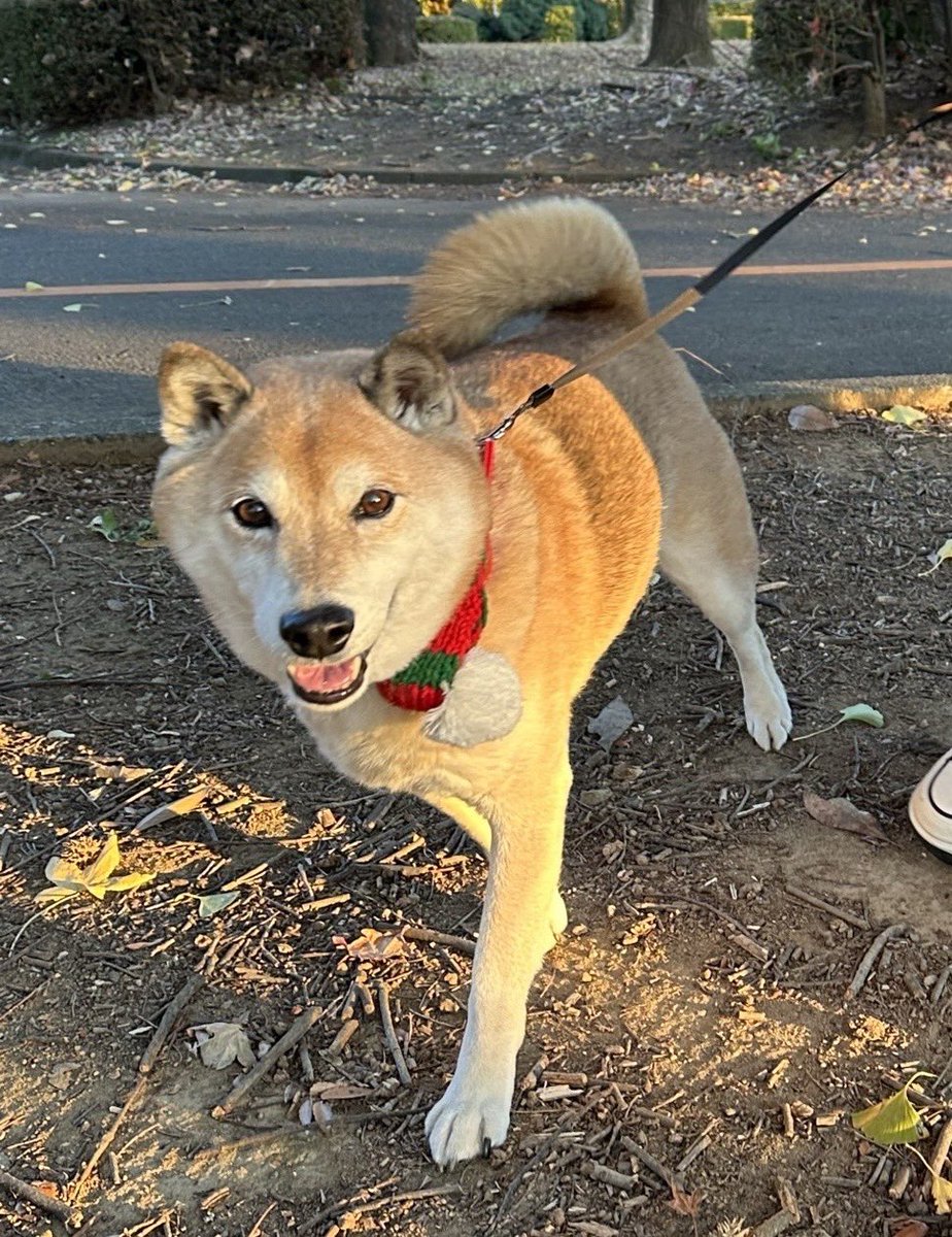 Green (@greenchan0718) / Posts / X