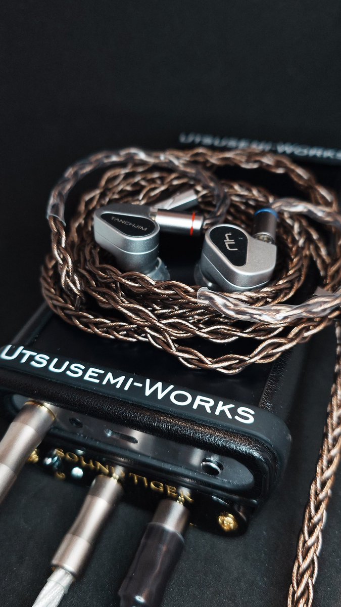 はんてん@うつせみワークス (@chiacchiere_) / Posts / X