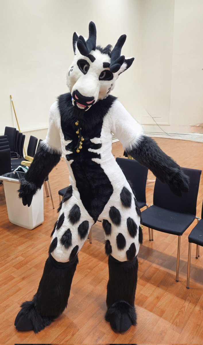 Polycrow tweet media