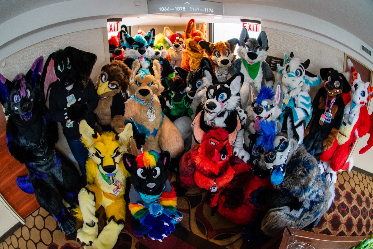 Last #FursuitFriday of 2025. What a blast this year was 😍

📸 @AscariFennec