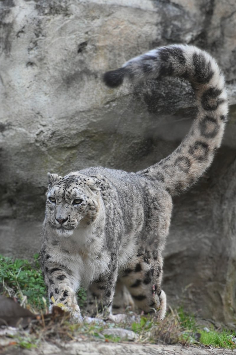 【甘党スナフキン】 豪華な付録！】スナフキンの「スタンプ＆缶ケースセット」を、雑誌