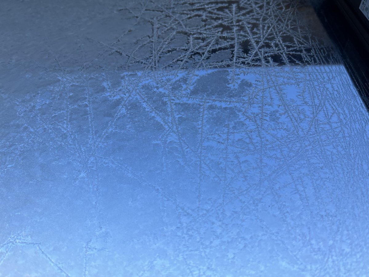 🌱東雲はやて🌱 (@hayateyade) on Twitter photo 