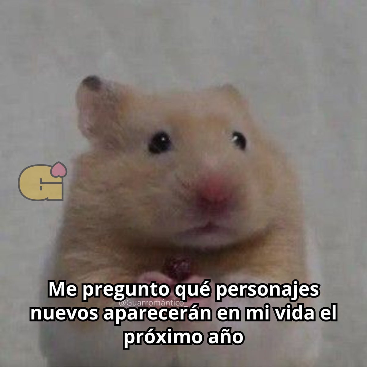 El Guarromántico tweet media