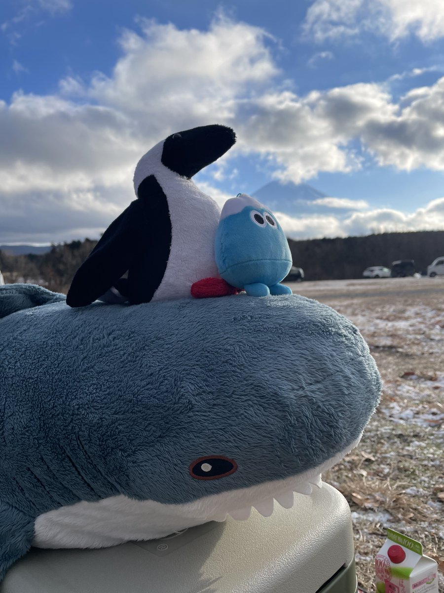 います🦈🐧🗻