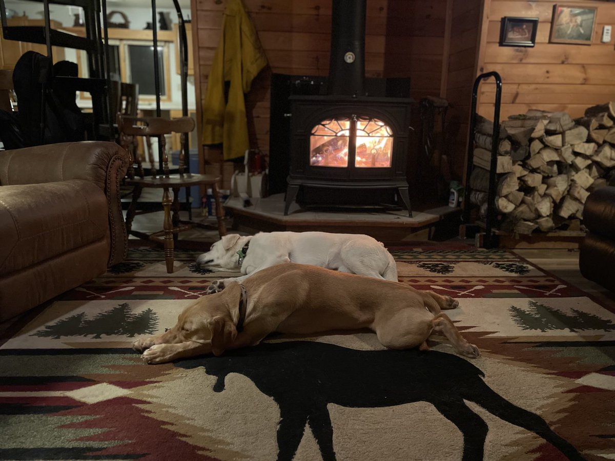 Mark Hazlett tweet media