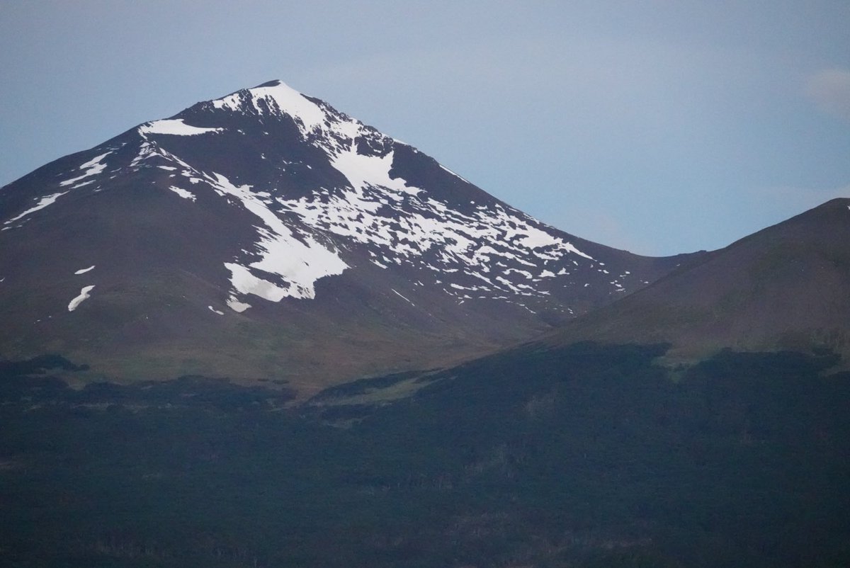 Dev Govindjee tweet media