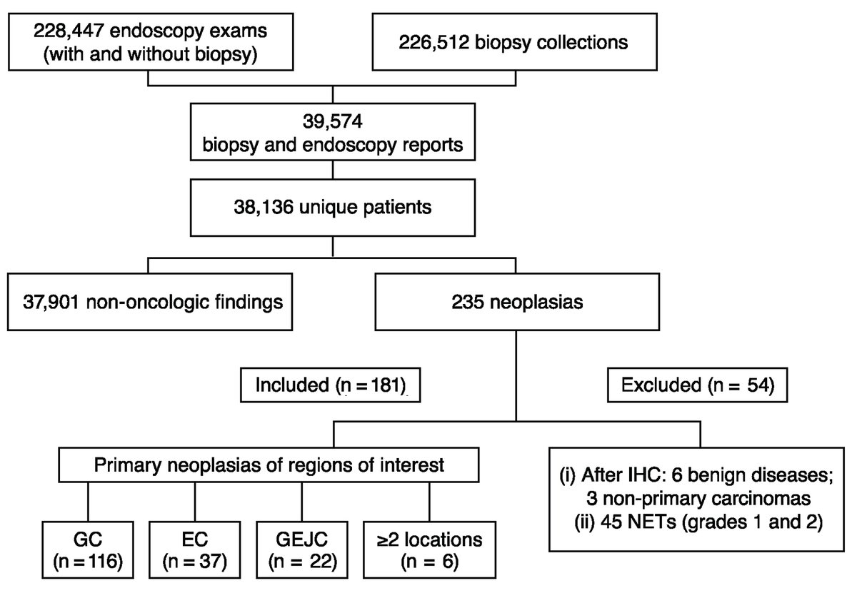 World Journal of Oncology tweet media