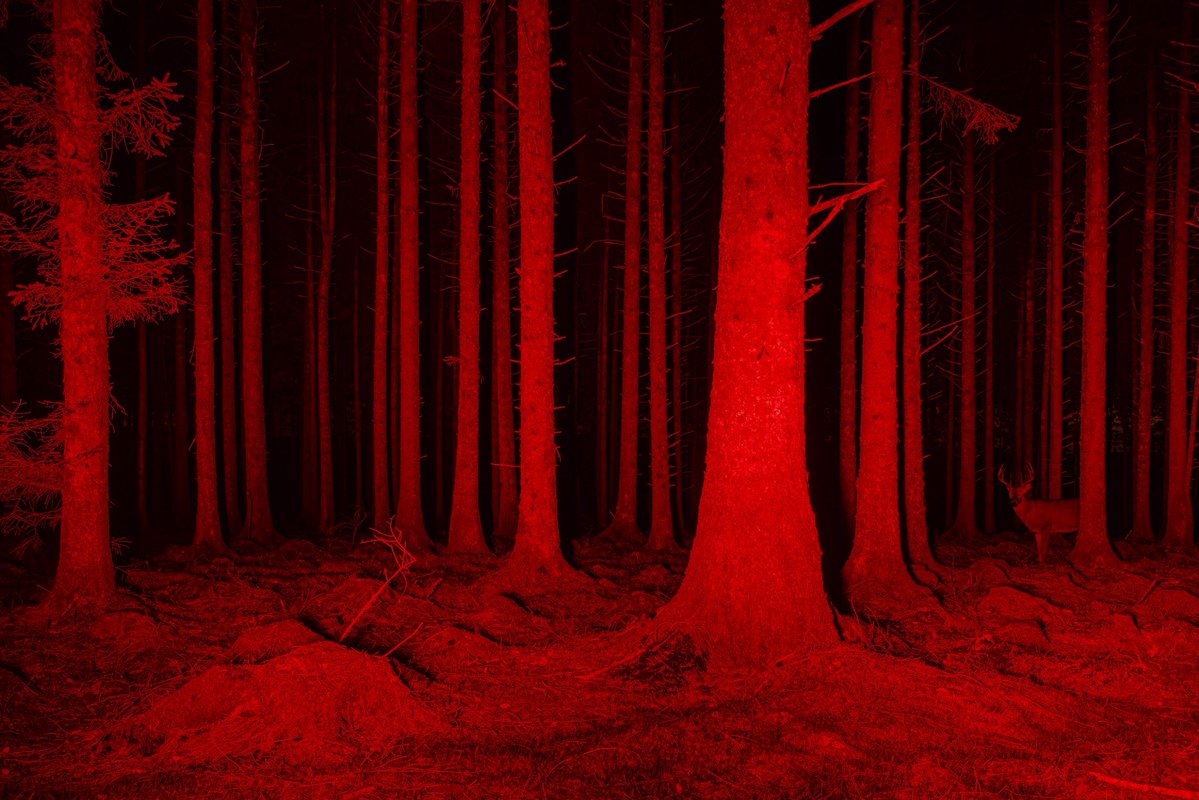 briscoepark's tweet image. one of the hardest photos i have ever taken