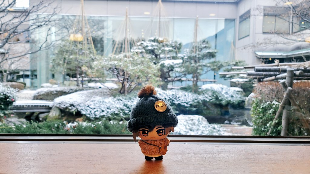 昨日結構降ってたから、お庭がうっすら雪化粧。

おはようございます☀
