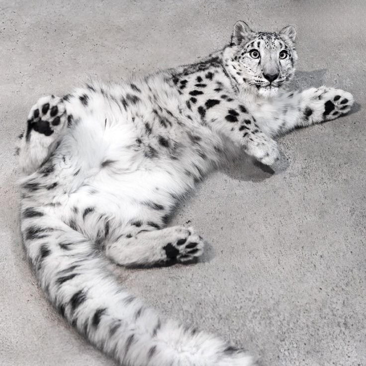 kill 7 billion people