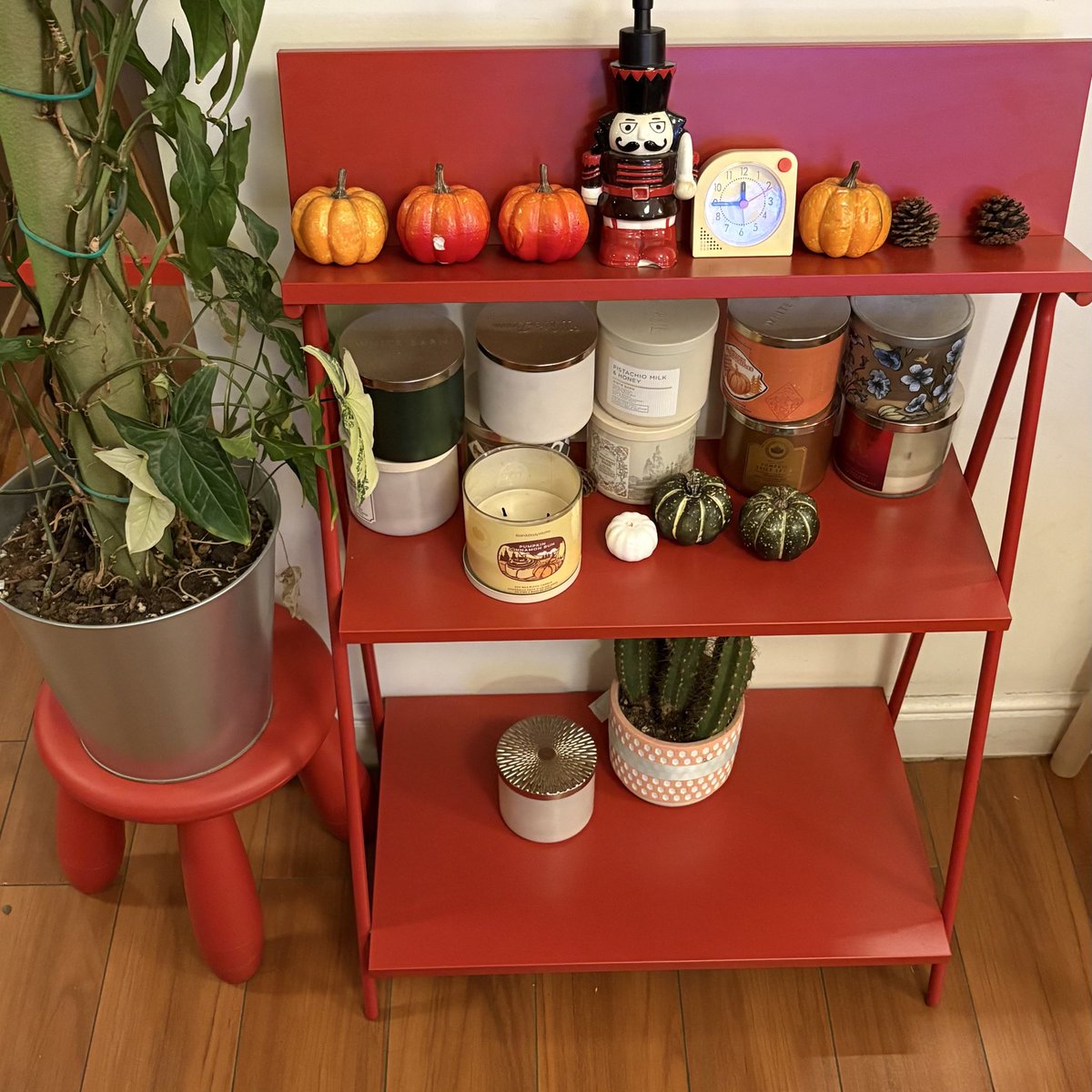 Maram 🌱 tweet media