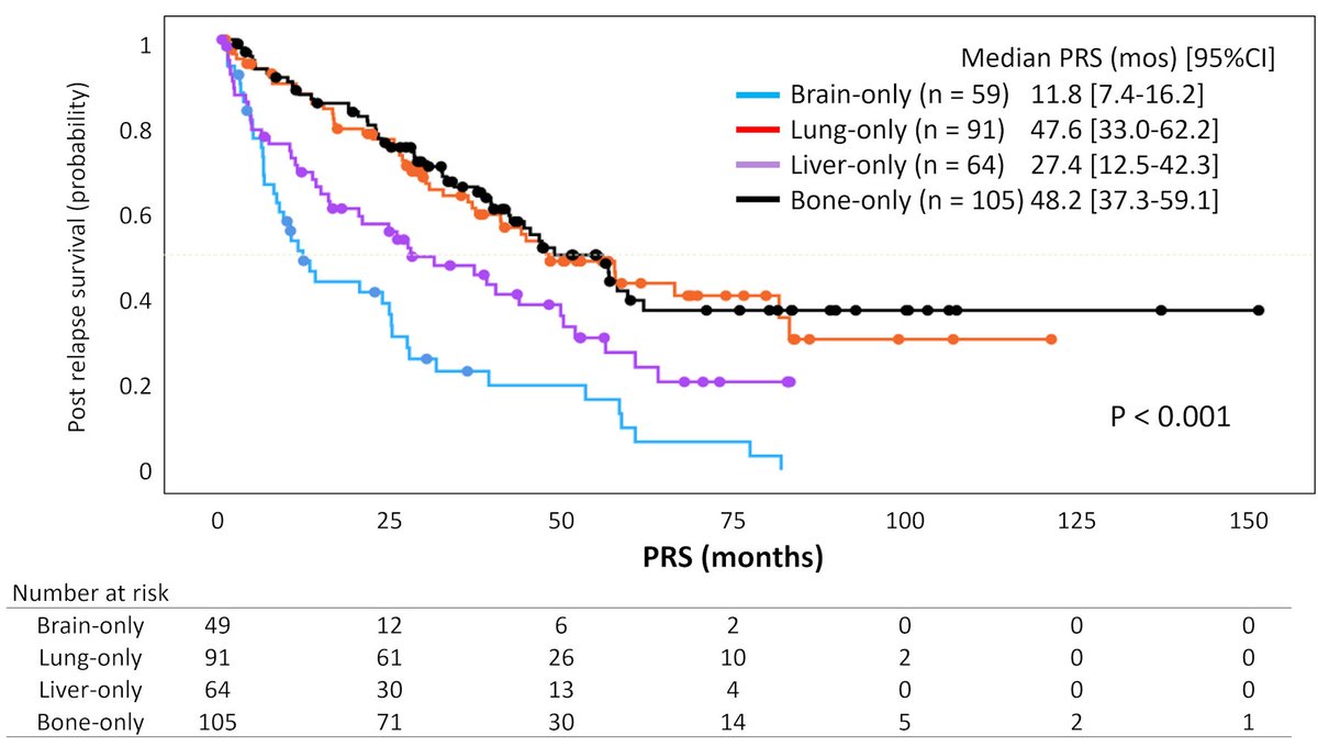 World Journal of Oncology tweet media