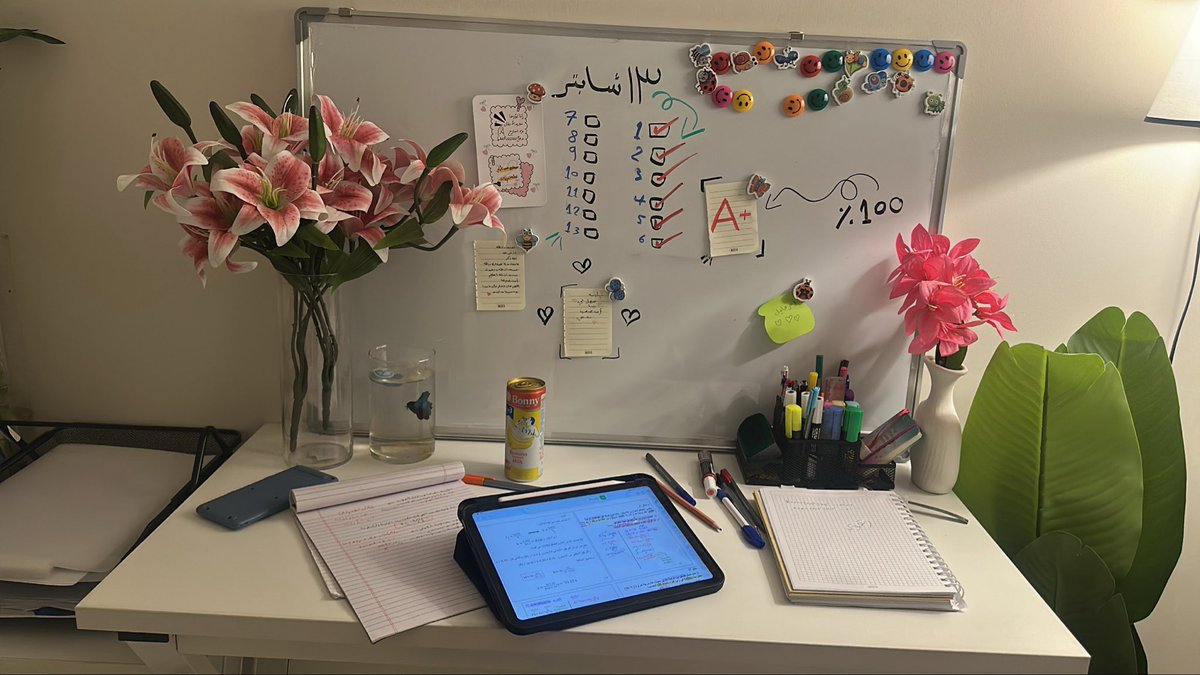 rane_488's tweet image. الشغف0%
اليقين بالله والأستمراريه100%