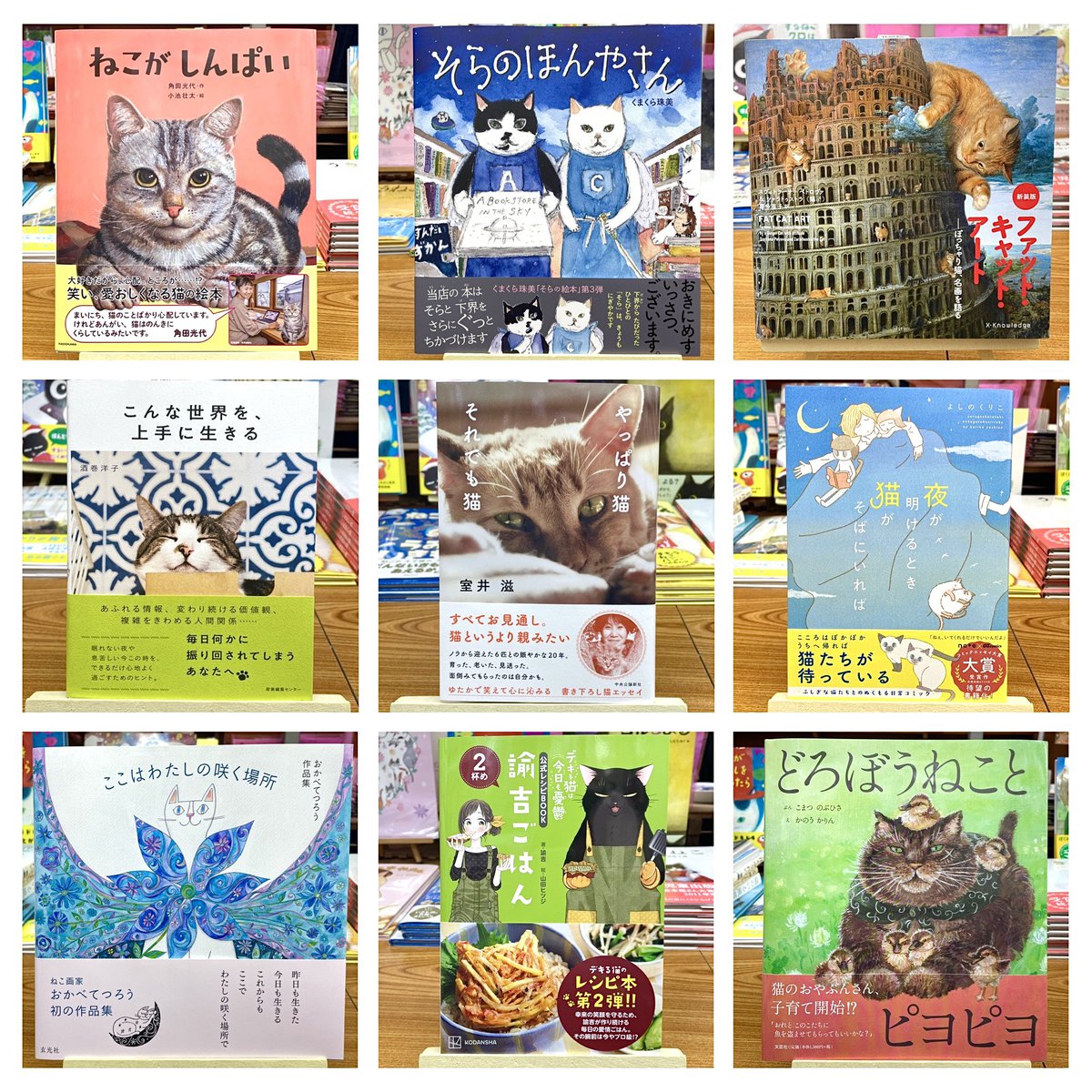 ねこねこ横丁 (@nekoyoko_web) / Posts / X