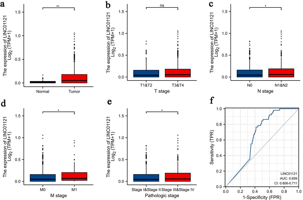 World Journal of Oncology tweet media