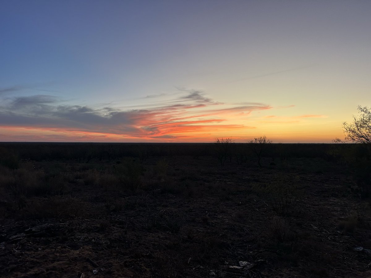 Mike Jeter tweet media